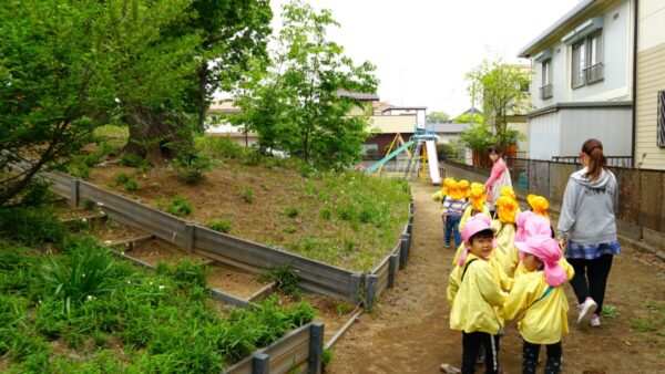 年少さんのお散歩