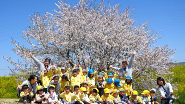 進級式とお花見