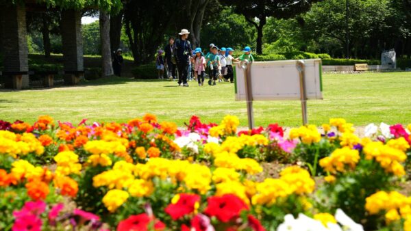 年長さんとつつじが岡第二公園へ
